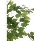 Ficus artificiale in vaso di cemento verde 80x80x150 cm Ficus artificiale in vaso di cemento verde 80x80x150 cm