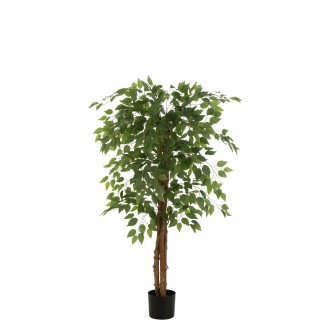Ficus artificiel pot en ciment vert 80x80x150 cm