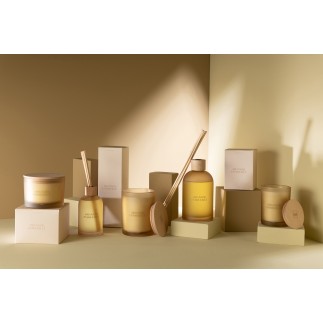 Bougie senteur «Oranger Ensoleillé» 28h blanche 11.5x1.5x10 cm