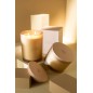Candela profumata «Sunny Orange» 28h bianca 11.5x1.5x10 cm Candela profumata «Sunny Orange» 28h bianca 11.5x1.5x10 cm