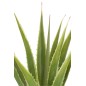 Agave artificial em vaso de poliéster verde 80x80x115 cm Agave artificial em vaso de poliéster verde 80x80x115 cm