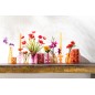 Scatola da 6 candele in Paraffina ocra 7x4.5x24 cm Scatola da 6 candele in Paraffina ocra 7x4.5x24 cm