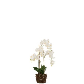 Planta de orquídea en textil blanco de 32x32x75 cm