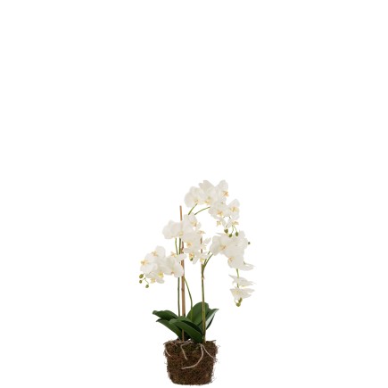 Planta de orquídea en textil blanco de 32x32x75 cm