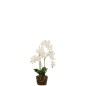 Pianta di orchidea in tessuto bianco 32x32x75 cm Pianta di orchidea in tessuto bianco 32x32x75 cm