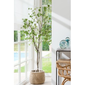 Plante en plastique vert 74x74x192 cm