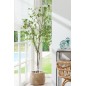 Plante en plastique vert 74x74x192 cm Plante en plastique vert 74x74x192 cm