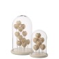 Campana decorativa con concha de cristal y base blanca 23 x 23 x 38 cm Campana decorativa con concha de cristal y base blanca 23 x 23 x 38 cm