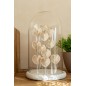 Campana decorativa con concha de cristal y base blanca 23 x 23 x 38 cm Campana decorativa con concha de cristal y base blanca 23 x 23 x 38 cm