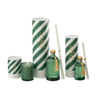 Difusor de junco em branco e verde, 10 x 35,5 x 10 cm