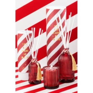 Difusor com varas de vidro branco e vermelho, 35,5 x 10 cm