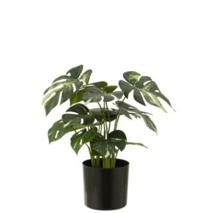 Monstera en polyéthylène vert 43x11,5x12,5 cm