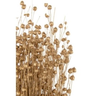 Flor seca de lino dorado, 15 x 15 x 50 cm