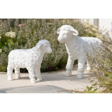 Mouton en Mgo beige 49x39x22 cm
