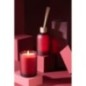 Difusor em solvente vermelho, 250 x 8 x 8 cm Difusor em solvente vermelho, 250 x 8 x 8 cm