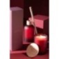 Difusor em solvente vermelho, 250 x 8 x 8 cm Difusor em solvente vermelho, 250 x 8 x 8 cm