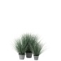 Pianta artificiale in plastica con vaso verde 82 cm
Pianta artificiale in plastica con vaso verde 82 cm