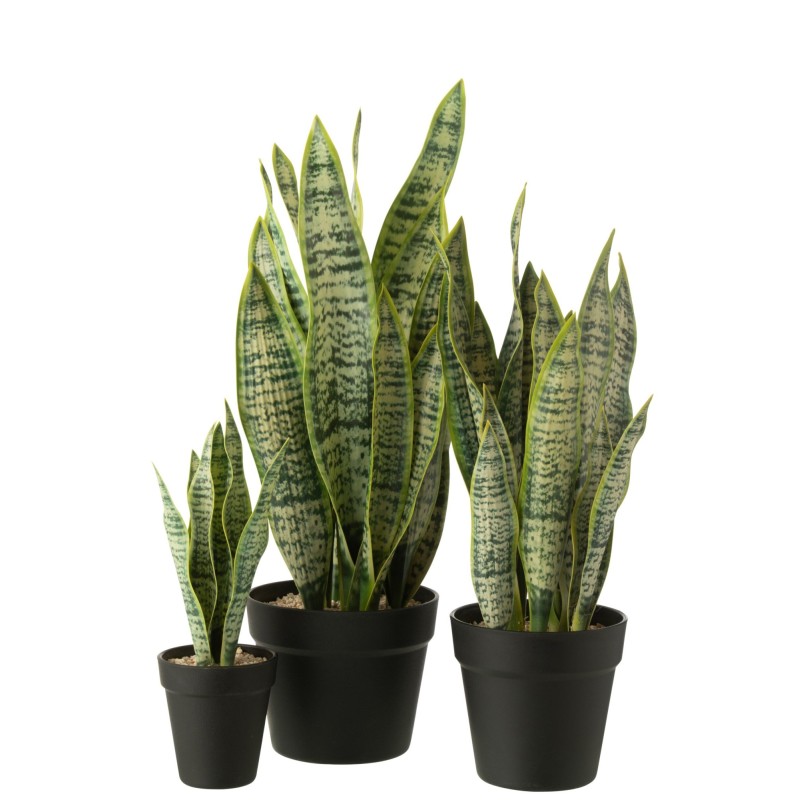 Dracaena trifasciata artificiel dans pot vert 27x23x55 cm Dracaena trifasciata artificiel dans pot vert 27x23x55 cm