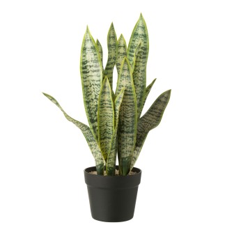 Dracaena trifasciata artificial en maceta verde 27 x 23 x 55 cm