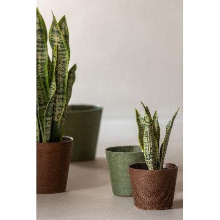 Dracaena trifasciata artificial em vaso verde 26x26x47 cm