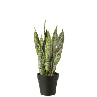 Dracaena trifasciata artificial em vaso verde 26x26x47 cm