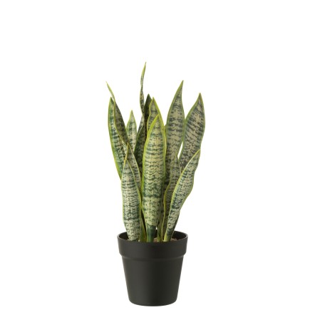 Dracaena trifasciata artificiel dans pot vert 26x26x47 cm
