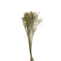 Fiori secchi di lino giallo naturale 70 cm Fiori secchi di lino giallo naturale 70 cm
