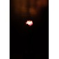 Lampe de table LED fleur rose en métal noir 12.6x9.5x26.6 cm Lampe de table LED fleur rose en métal noir 12.6x9.5x26.6 cm