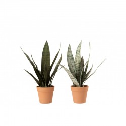 Set de 2 plantes artificielles en Plastique Vert 14x14x50cm