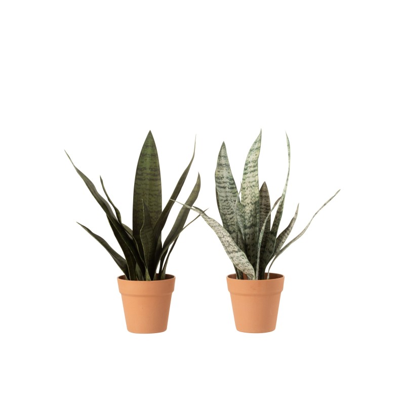 Sansevieria + maceta material sintético verde/terracota surtido de 2 Alt. 50 cm