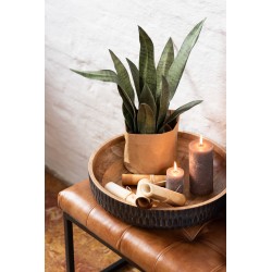 Set de 2 plantes artificielles en Plastique Vert 14x14x50cm