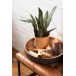 Set de 2 plantes artificielles en Plastique Vert 14x14x50cm Set de 2 plantes artificielles en Plastique Vert 14x14x50cm