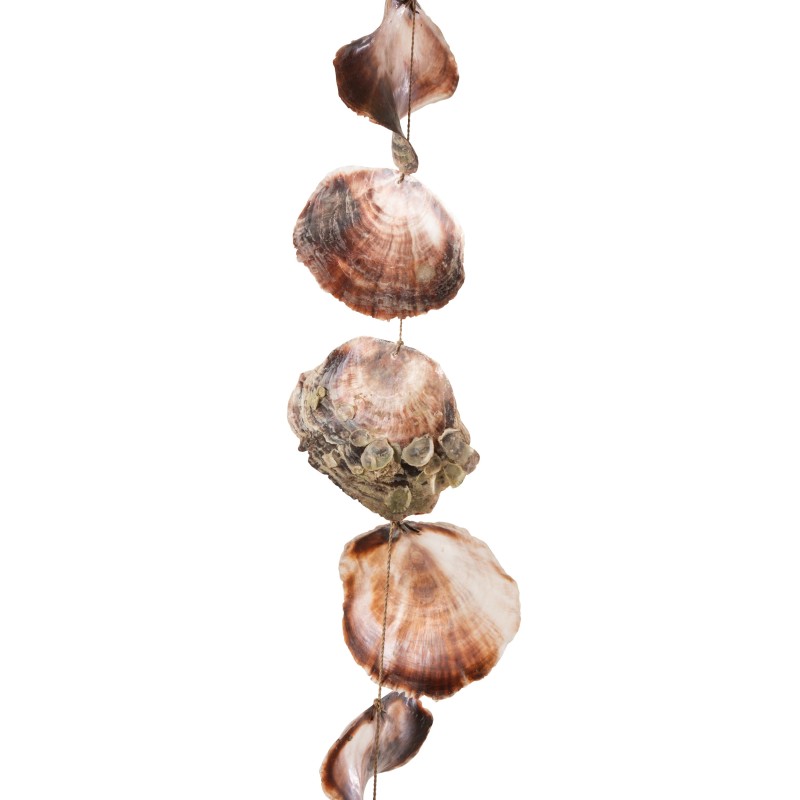 Guirlande de coquillages naturel 25x25x93cm Guirlande de coquillages naturel 25x25x93cm
