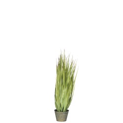 Herbes sauvages dans pot en plastique vert 32x32x68 cm