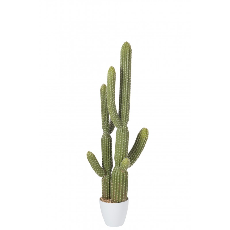 Cactus vert dans pot en plastique blanc 36x20x115 cm