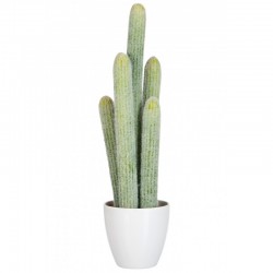 Cactus vert dans pot en plastique blanc 23x16x52.5 cm