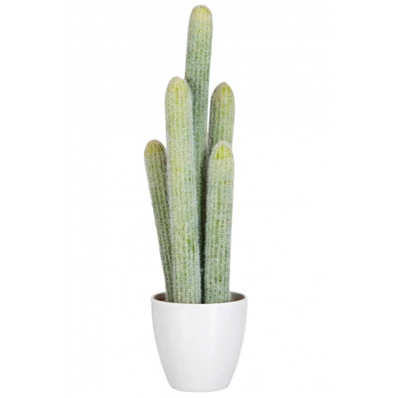 Cactus verde en maceta de plástico blanco de 23x16x52.5 cm