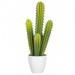 Cactus verde en maceta de plástico blanco de 22x16x52.5 cm