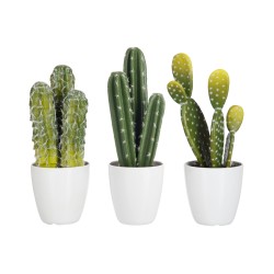 Set de 3 Cactus vert dans pot en plastique blanc 10x10x29 cm