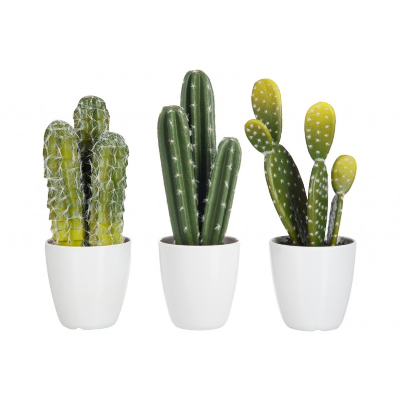 Set de 3 Cactus vert dans pot en plastique blanc 10x10x29 cm