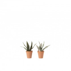 Set de 2 plantes artificielles en Plastique Vert 8,5x8,5x25cm