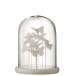 Papillon sous grande cloche en verre blanc 30x24x24 cm Papillon sous grande cloche en verre blanc 30x24x24 cm