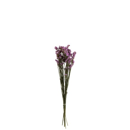 Fleurs séchées myosotis mauve 73 cm