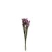 Flores secas de nomeolvides morado de 73 cm
