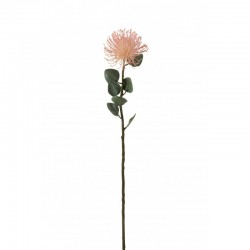 Protea avec fleur en plastique rose et vert 13x13x72cm