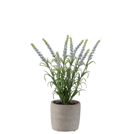 Lavande dans pot en plastique mauve 9x9x28cm
