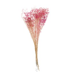 Ramo de gypsophila seca en madera Fucsia 15x15x75 cm