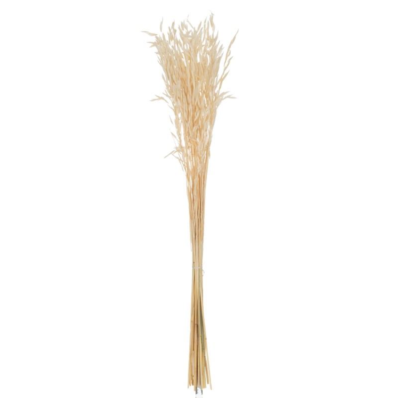 Bouquet d’avoine sécéhé en bois naturel 7.5x7.5x85 cm Bouquet d’avoine sécéhé en bois naturel 7.5x7.5x85 cm