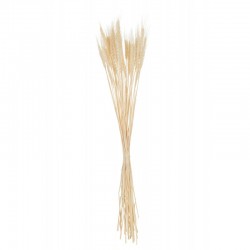 Bouquet de blé séché en bois naturel 8x8x80 cm
