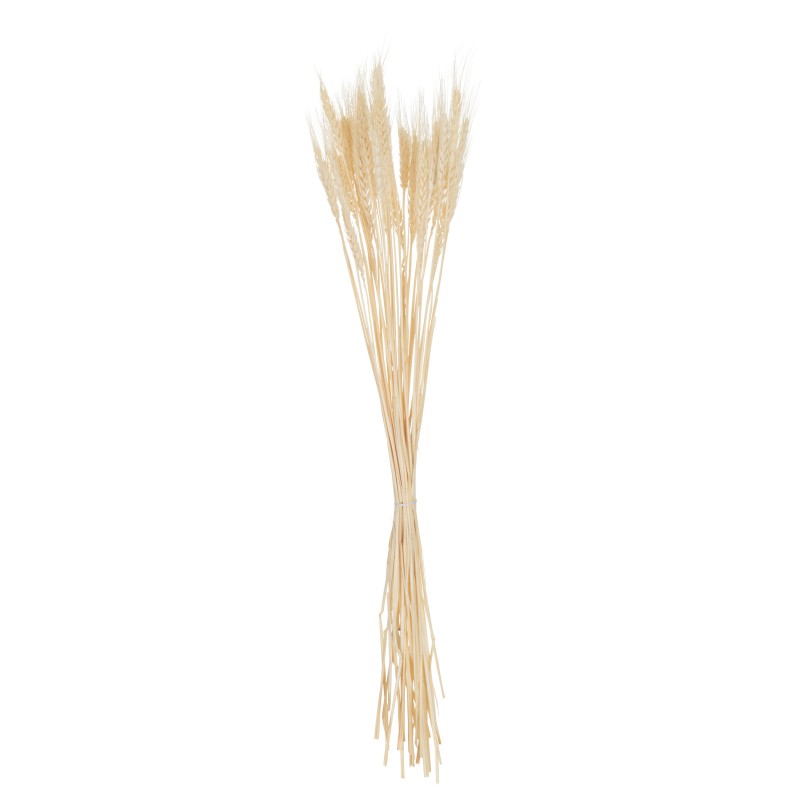Bouquet de blé séché en bois naturel 8x8x80 cm Bouquet de blé séché en bois naturel 8x8x80 cm